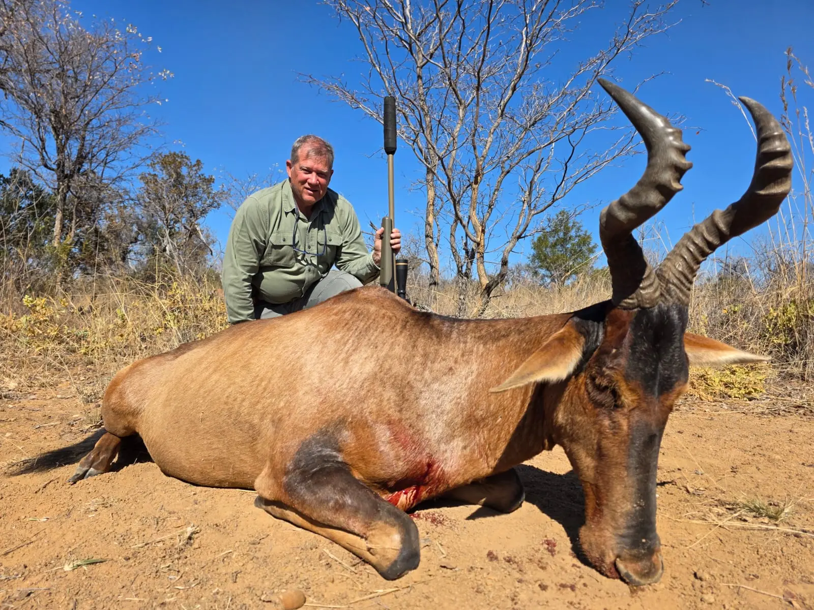 Blue skies and a fine hartebeest