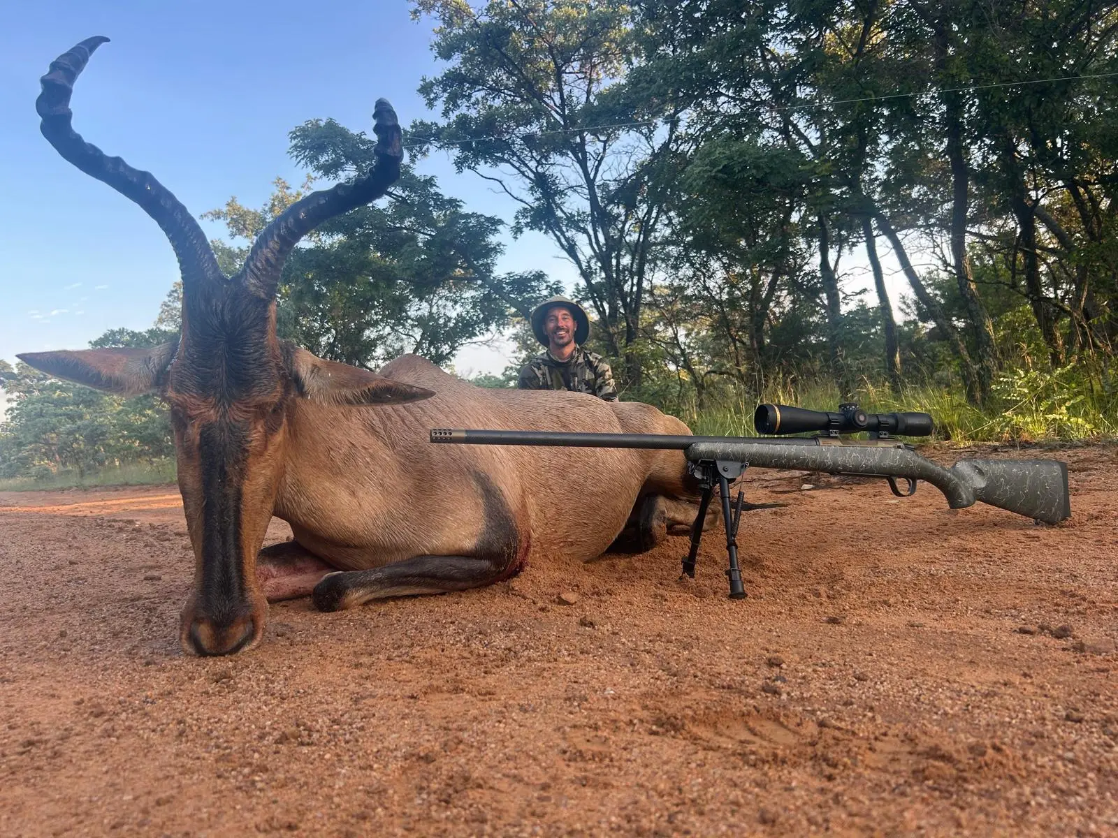 A hartebeest on the red earth