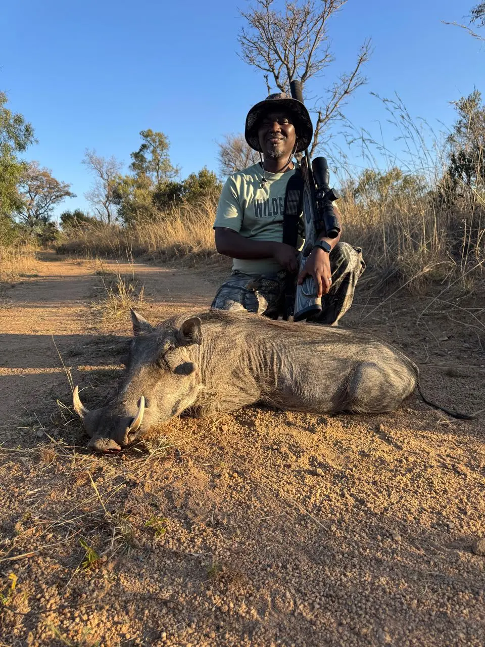 Warthog on the bush road