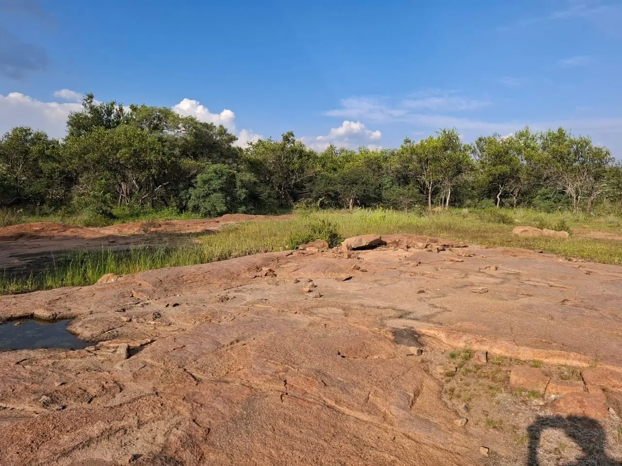 Open country in the Waterberg