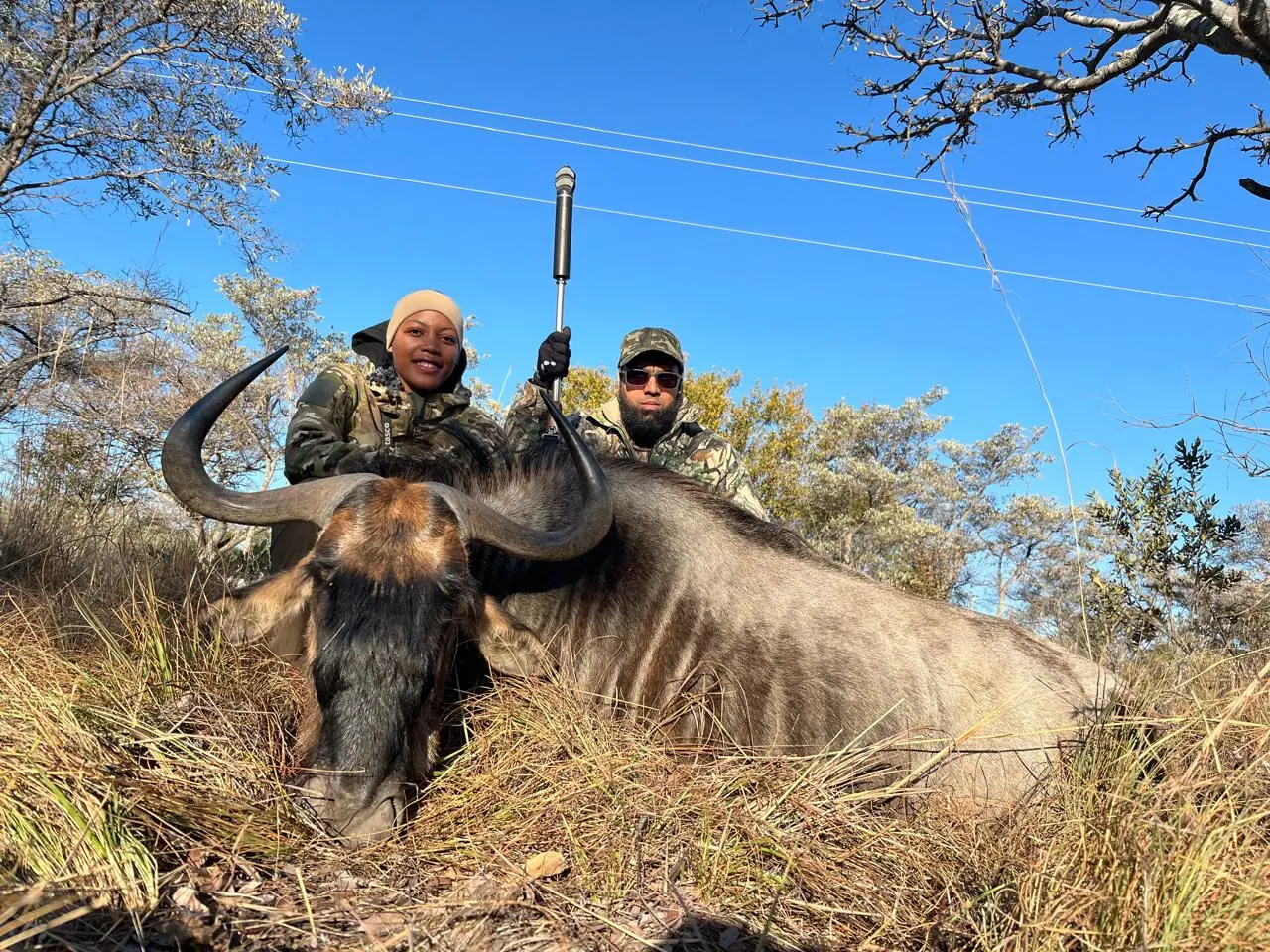A shared wildebeest adventure